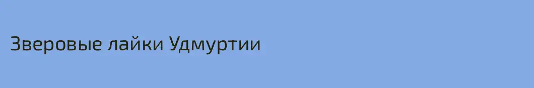 Зверовые лайки Удмуртии